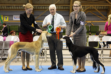 Aziz Karim & Aziz Jalila