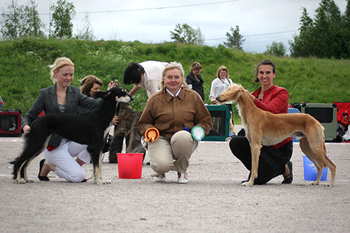 Aziz Haifa & Amdjad Av Min Tera