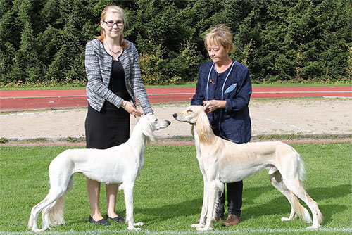 Aziz Mehri & Aziz Milad