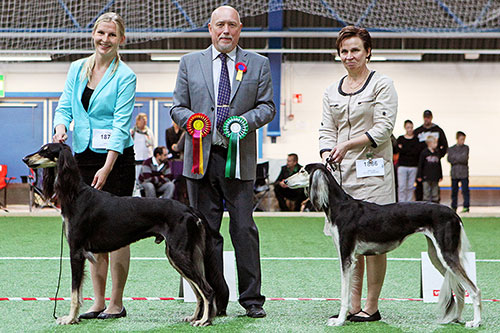 Aziz Luxor & Khaireddin Waliya