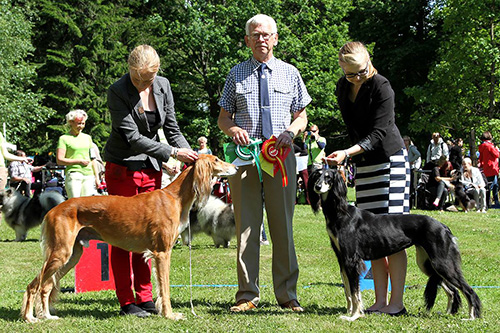 Aziz Chakad & Aziz Haifa