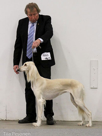 Aziz Xanom & El Hamrah Chason-Shir