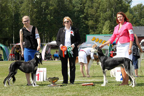 Aziz Xanom & Elamir Classic Souvenir