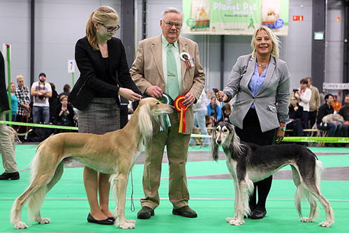 Aziz Karim & Sadaqa Laziza Bint Kifaya