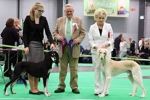 Aziz Xanom & El Hamrah Chason-Shir