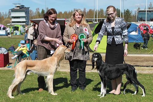 Aziz Filsufh & Aziz Xanom