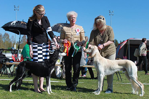 Aziz Xanom & Aziz Mohsen