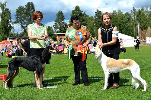 Aziz Ghadir & Aziz Izzah