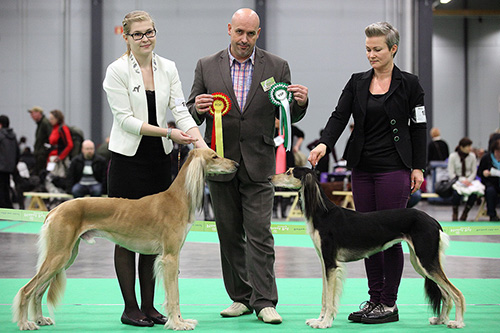 Aziz Karim & Kehailan Papagena