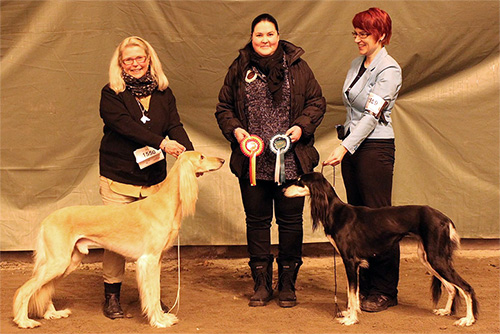 Aziz Filsufh & Aziz Jalila