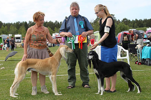 Aziz Karim & Aziz Xanom