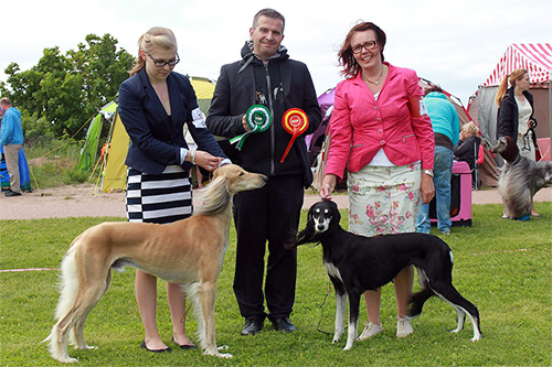 Aziz Karim & Aziz Xanom