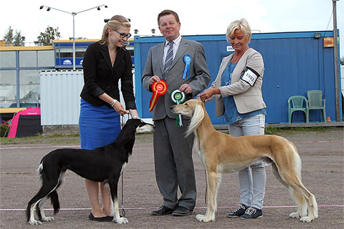 Aziz Jalila & Aziz Karim