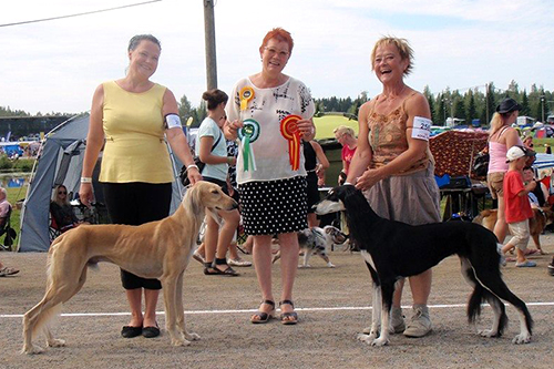 Dabkas Maddizon & Aziz Jalila