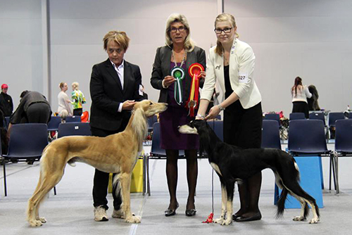 Aziz Karim & Aziz Jalila