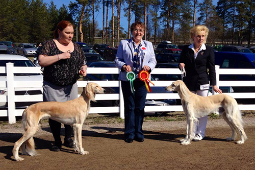 Aziz Fasahat & El Hamrah Chason-Shir