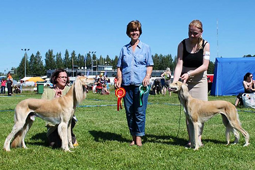 Aziz Filsufh & Aziz Leilah