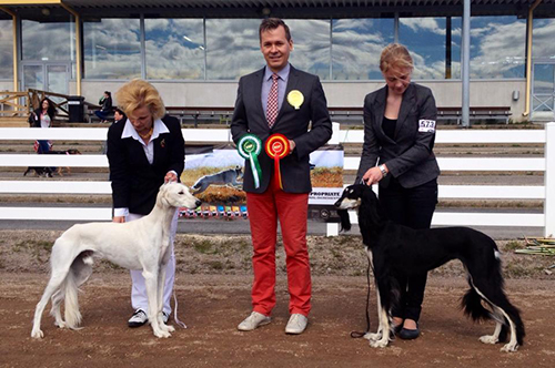 El Hamrah Khataraan & Aziz Ehsan