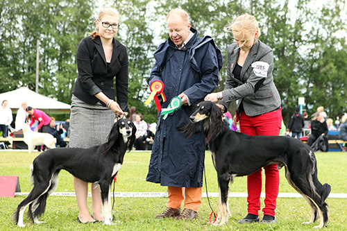 Aziz Jalila & Aziz Luxor