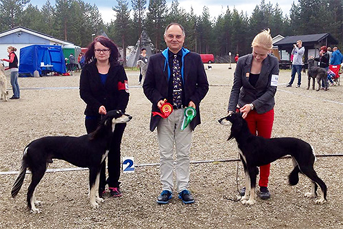 Khalils Balhara Ibn Waqar & Aziz Haifa