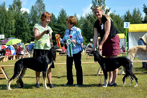 Aziz Ghadir & Salmanazar Abla Tiger Lily