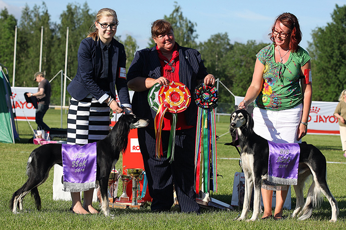 Aziz Jalila & Elamir Classic Souvenir