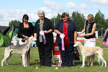 Aziz Shadman & El Hamrah Unnah