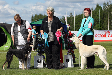 Aziz Tamasha & Desierto Belleza Anzuelo