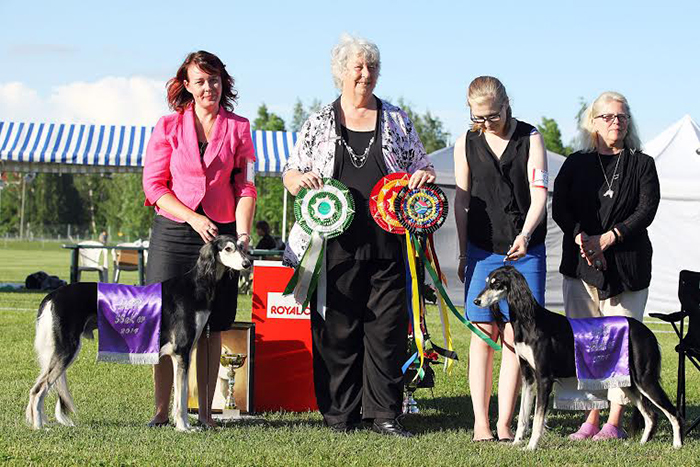 Elamir Classic Souvenir & Aziz Jalila