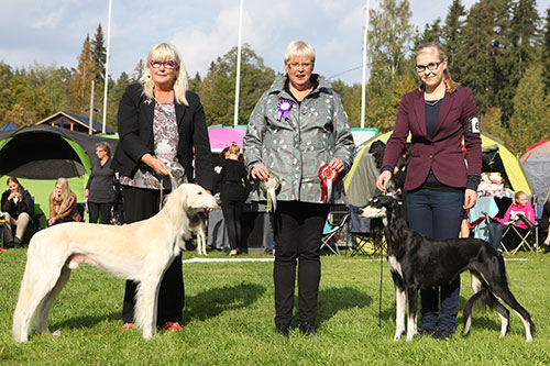 Khalils Qadra I-Imkan Schariar & Aziz Xanom