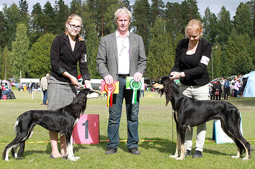 Aziz Jalila & Aziz Luxor