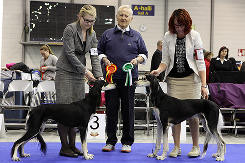 Aziz Jalila & Elamir Classic Souvenir