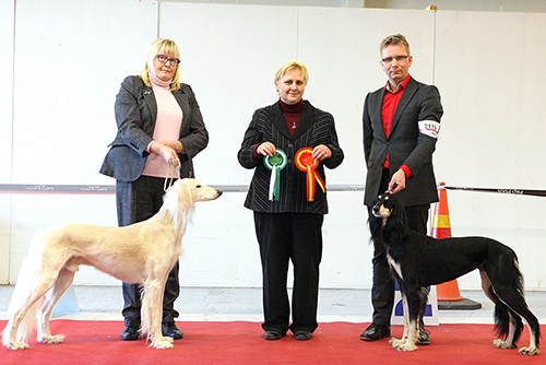 Khalils Qadra I-Imkan Schariar & Aziz Haifa