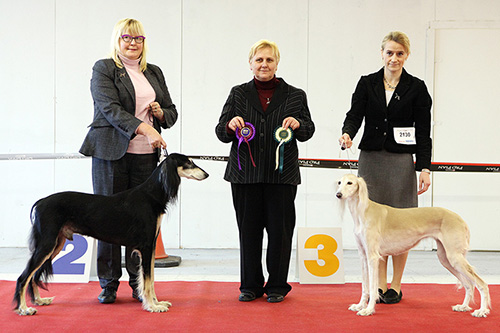 Aziz Sardar & El Hamrah Unnah