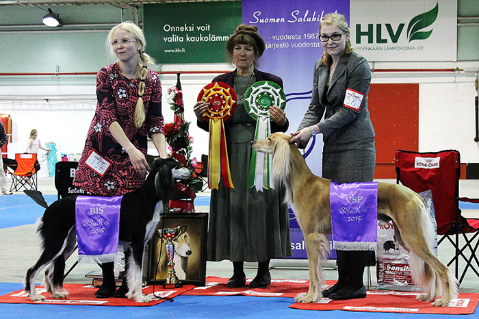 Sunfire Ghaliya & Aziz Karim