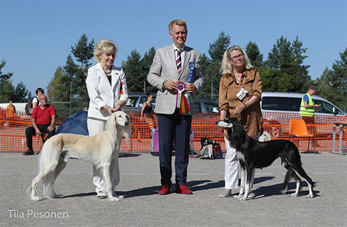 El Hamrah Chason-Shir & Aziz Xanom