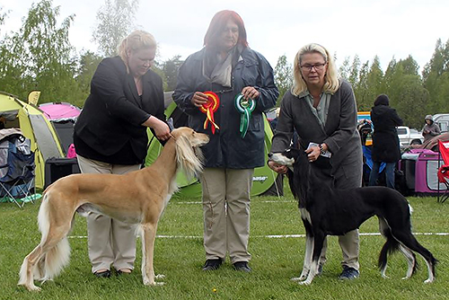 Aziz Karim & Aziz Xanom