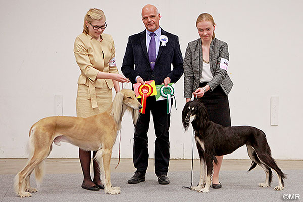 Aziz Karim & Aziz Haifa