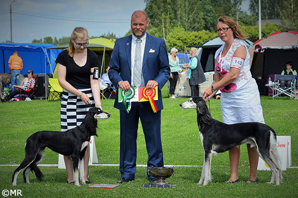 Aziz Jalila & Elamir Classic Souvenir