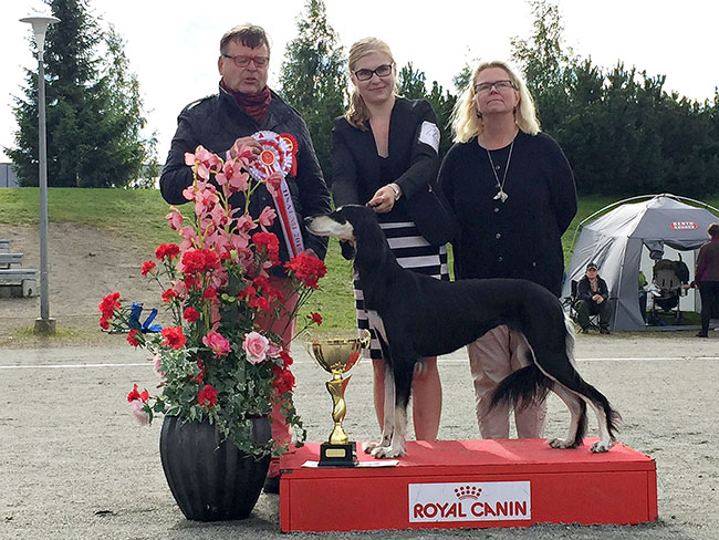 Aziz Mohsen & Desierto Belleza Hyperborea Divina