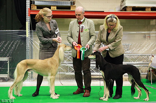 Aziz Karim & Aziz Khalisah