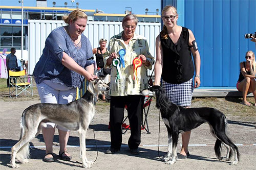 Qirmizi Paganini & Aziz Jalila