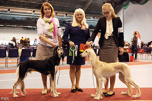 Elamir Classic Souvenir & Aziz Fazel