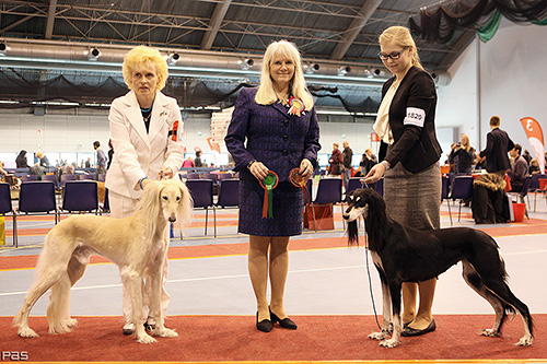 El Hamrah Chason-Shir & Aziz Xanom