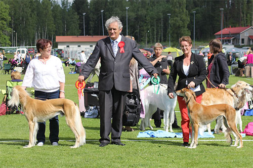 Aziz Karim & Anahita Aile Ferdi Aurum Bohemia