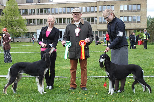 Sunfire Ghandoor & Aziz Xanom