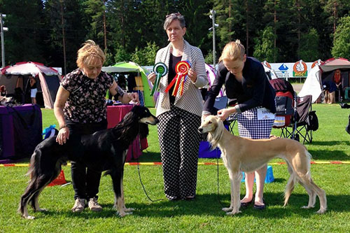 Aziz Luxor & Aziz Leilah