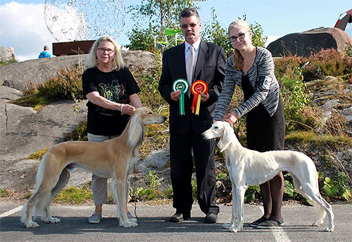 Aziz Karim & Aziz Onora