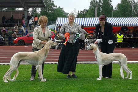 Aziz Milad & Aziz Ona