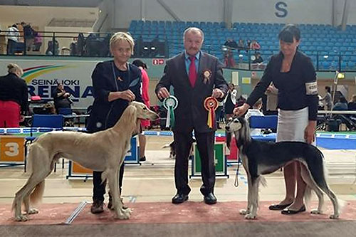 Aziz Milad & El Ubaid's Sincerity Isis